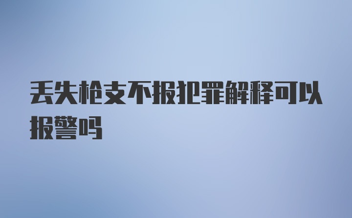 丢失枪支不报犯罪解释可以报警吗