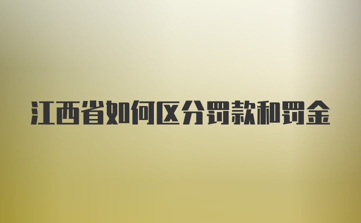 江西省如何区分罚款和罚金