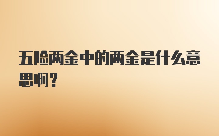 五险两金中的两金是什么意思啊？