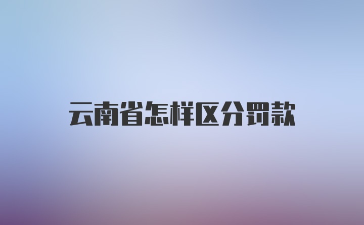 云南省怎样区分罚款