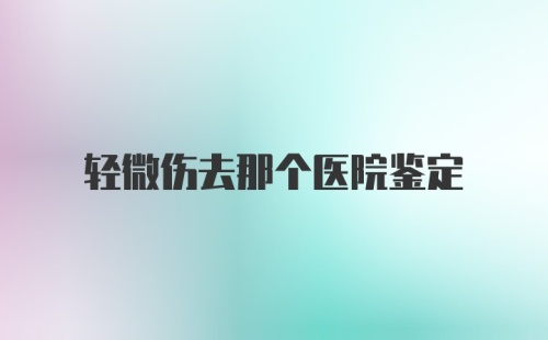 轻微伤去那个医院鉴定