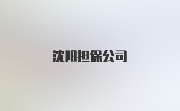 沈阳担保公司