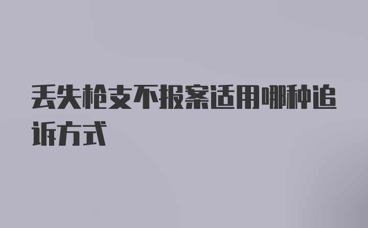 丢失枪支不报案适用哪种追诉方式