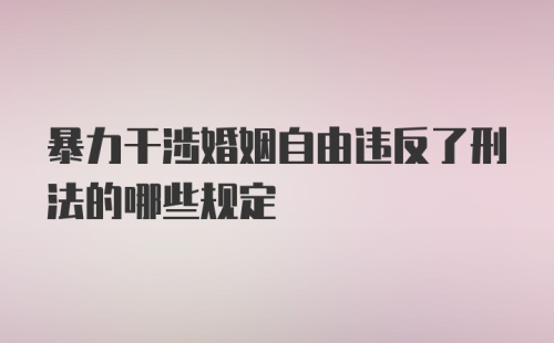 暴力干涉婚姻自由违反了刑法的哪些规定