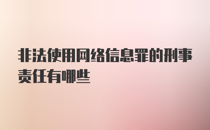 非法使用网络信息罪的刑事责任有哪些