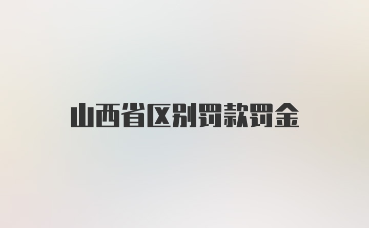 山西省区别罚款罚金