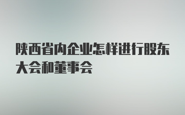 陕西省内企业怎样进行股东大会和董事会