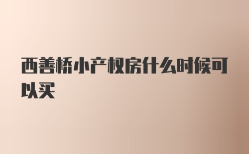 西善桥小产权房什么时候可以买