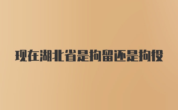 现在湖北省是拘留还是拘役