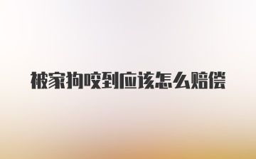 被家狗咬到应该怎么赔偿