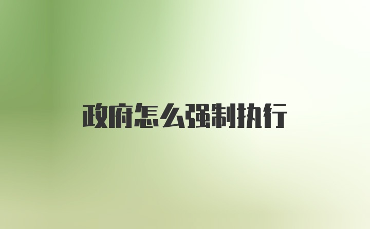 政府怎么强制执行