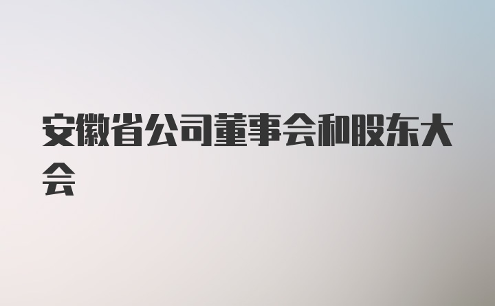 安徽省公司董事会和股东大会