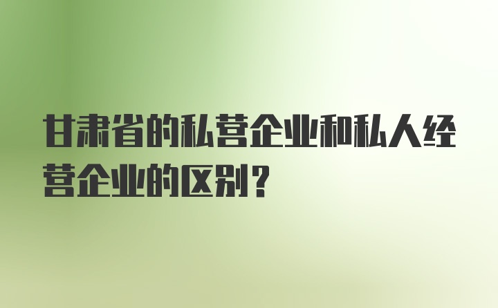 甘肃省的私营企业和私人经营企业的区别？