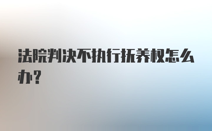 法院判决不执行抚养权怎么办?