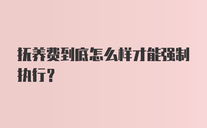 抚养费到底怎么样才能强制执行？