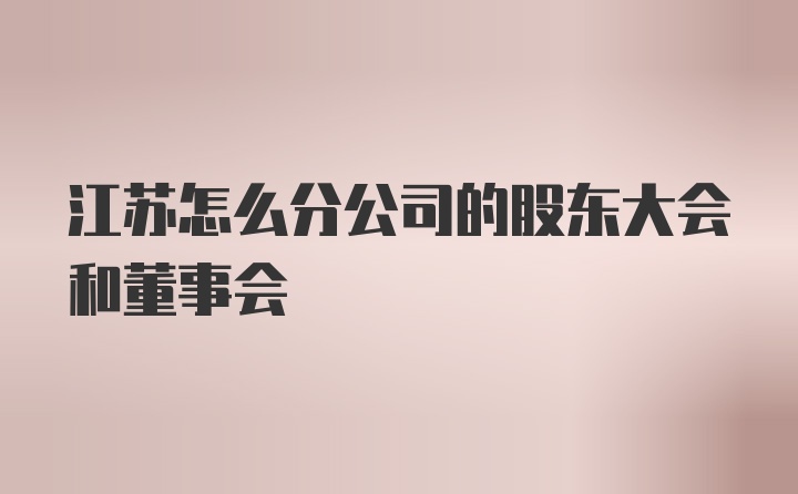 江苏怎么分公司的股东大会和董事会