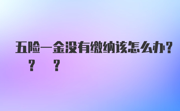 五险一金没有缴纳该怎么办? ? ?