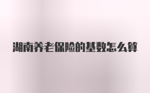 湖南养老保险的基数怎么算