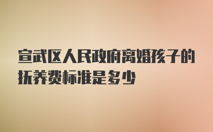 宣武区人民政府离婚孩子的抚养费标准是多少