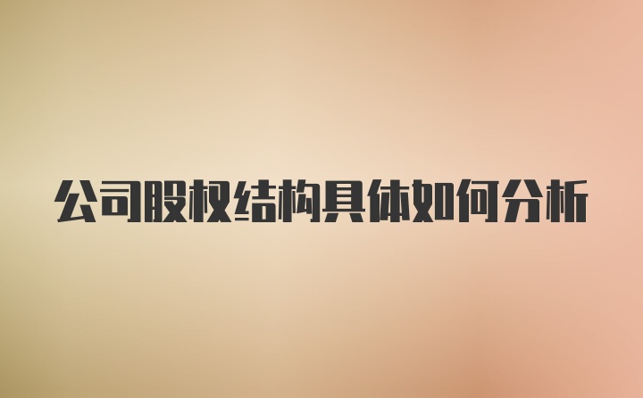 公司股权结构具体如何分析