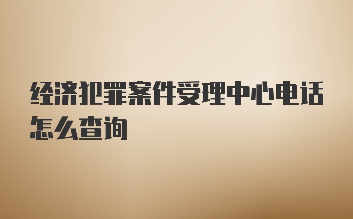 经济犯罪案件受理中心电话怎么查询