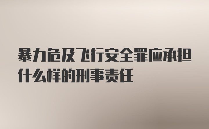 暴力危及飞行安全罪应承担什么样的刑事责任