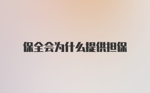 保全会为什么提供担保