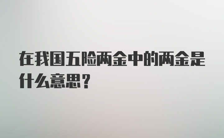 在我国五险两金中的两金是什么意思?