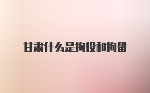 甘肃什么是拘役和拘留