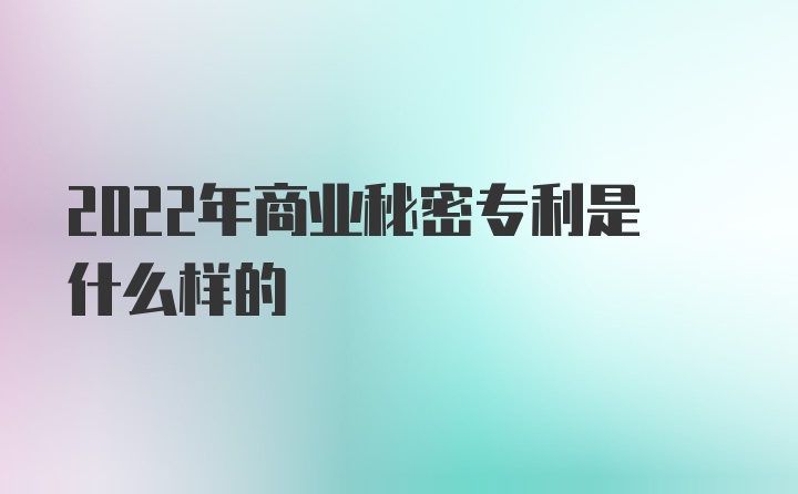 2022年商业秘密专利是什么样的