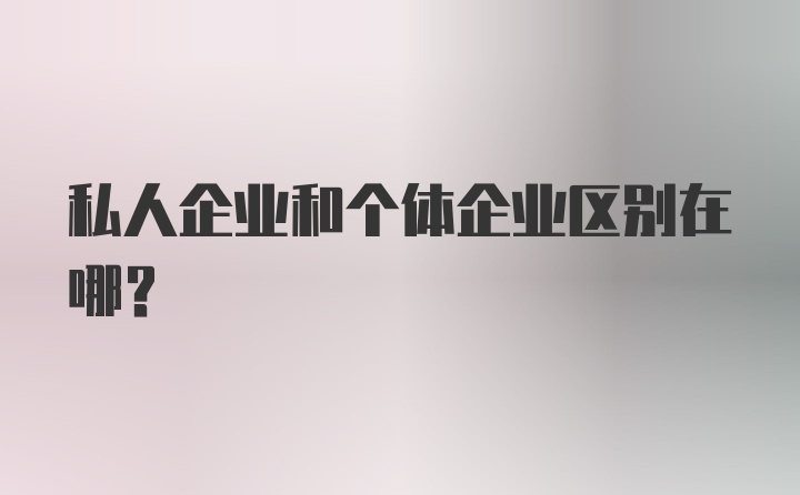 私人企业和个体企业区别在哪？