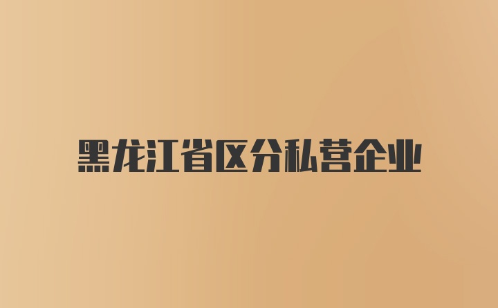 黑龙江省区分私营企业