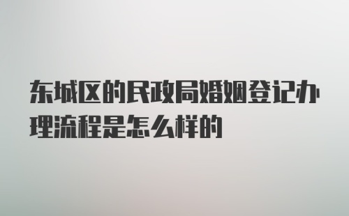 东城区的民政局婚姻登记办理流程是怎么样的