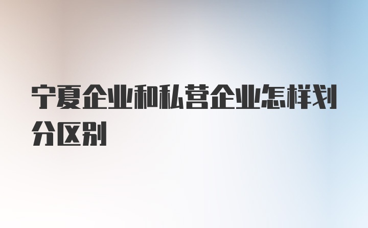 宁夏企业和私营企业怎样划分区别