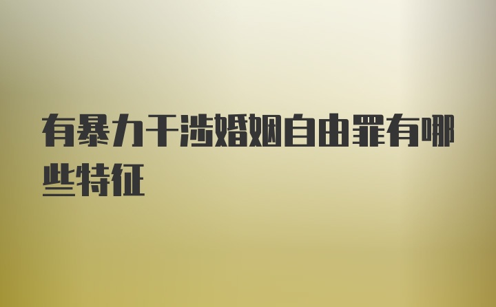 有暴力干涉婚姻自由罪有哪些特征