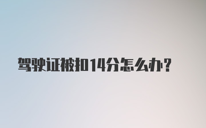 驾驶证被扣14分怎么办?