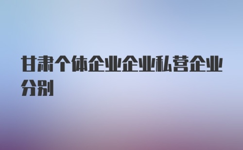 甘肃个体企业企业私营企业分别