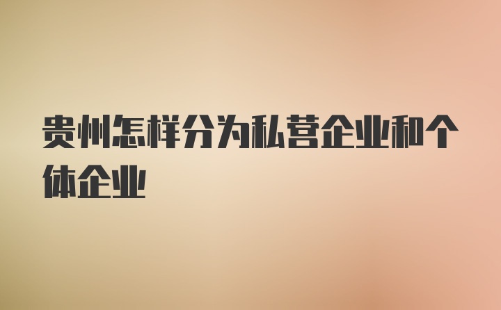 贵州怎样分为私营企业和个体企业