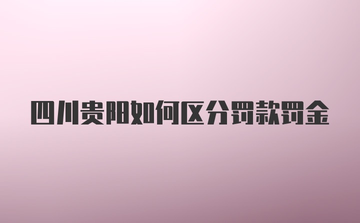 四川贵阳如何区分罚款罚金