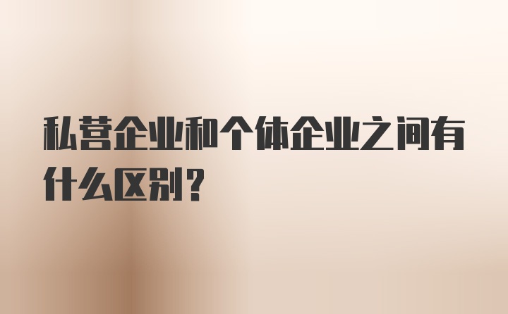 私营企业和个体企业之间有什么区别?