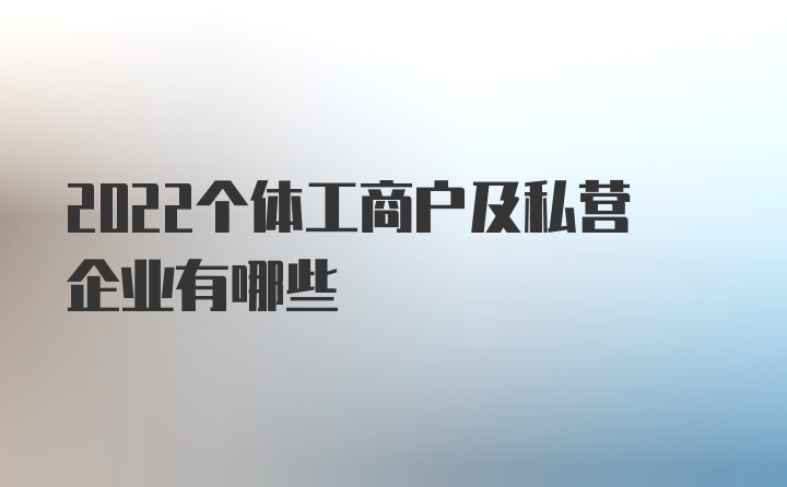 2022个体工商户及私营企业有哪些