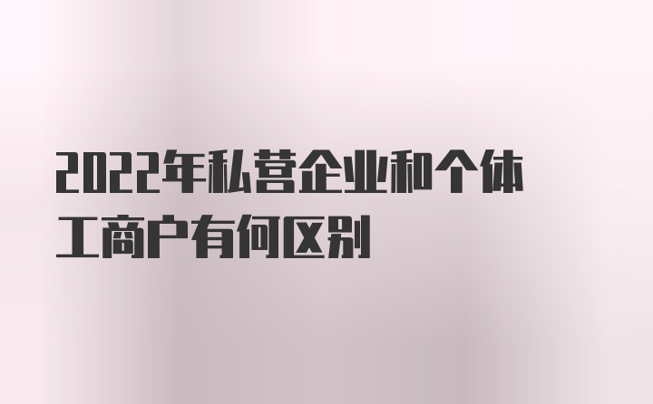 2022年私营企业和个体工商户有何区别