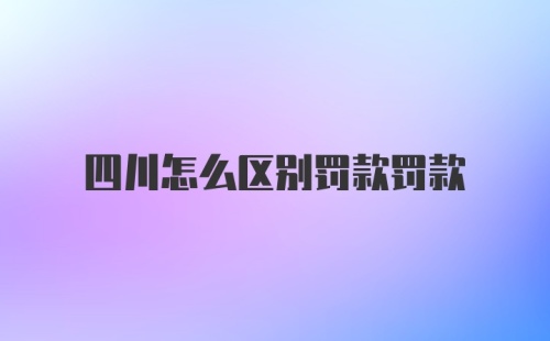 四川怎么区别罚款罚款