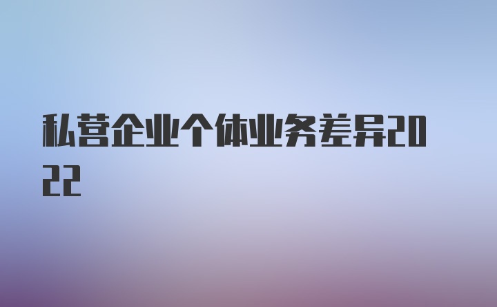 私营企业个体业务差异2022