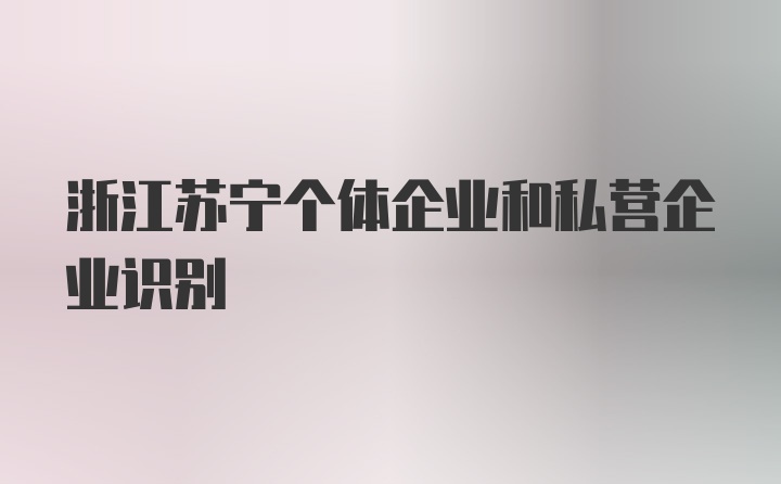 浙江苏宁个体企业和私营企业识别