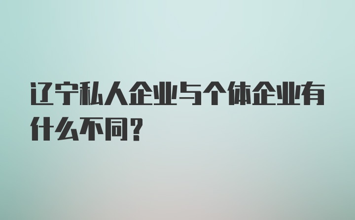 辽宁私人企业与个体企业有什么不同？