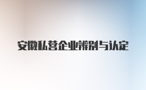 安徽私营企业辨别与认定