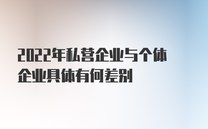 2022年私营企业与个体企业具体有何差别