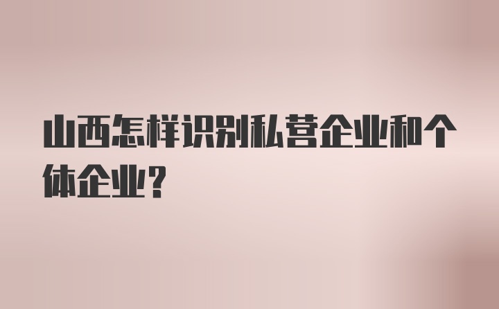 山西怎样识别私营企业和个体企业？