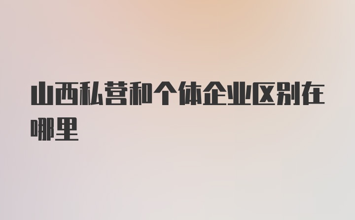 山西私营和个体企业区别在哪里